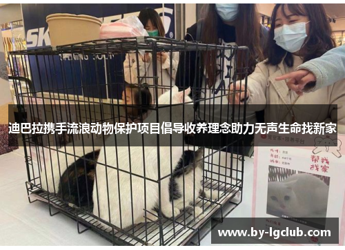 迪巴拉携手流浪动物保护项目倡导收养理念助力无声生命找新家 迪巴拉携手流浪动物保护项目倡导收养理念助力无声生命找新家