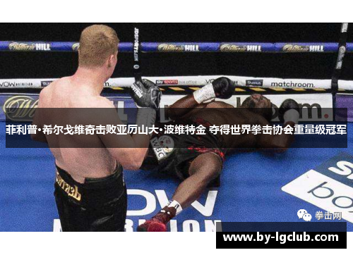 菲利普·希尔戈维奇击败亚历山大·波维特金 夺得世界拳击协会重量级冠军