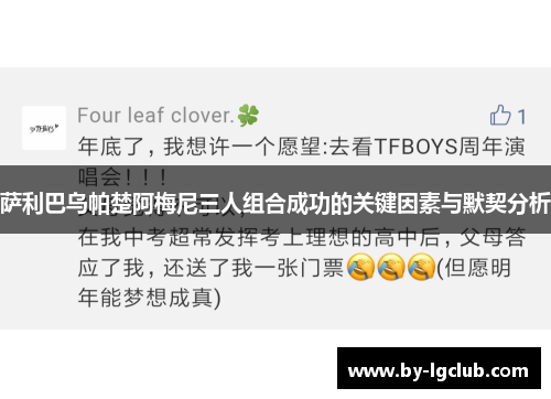 萨利巴乌帕楚阿梅尼三人组合成功的关键因素与默契分析