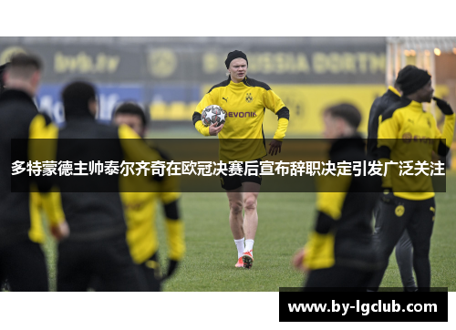 多特蒙德主帅泰尔齐奇在欧冠决赛后宣布辞职决定引发广泛关注