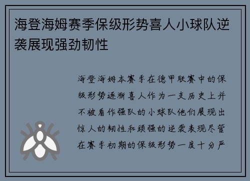 海登海姆赛季保级形势喜人小球队逆袭展现强劲韧性