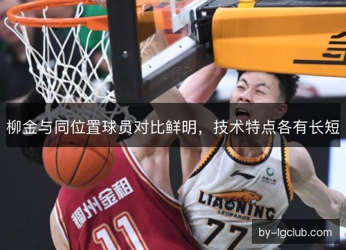 柳金与同位置球员对比鲜明，技术特点各有长短